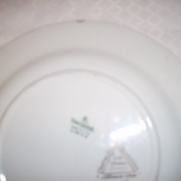 Beautiful Plate 10" Platter/Dinner Homer Laughlin Semi Vitreous Dinnerware Peony - Picture 4 of 4